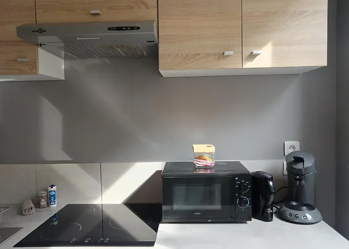 Appartement Au Cosy Branché Coudekerque-Branche