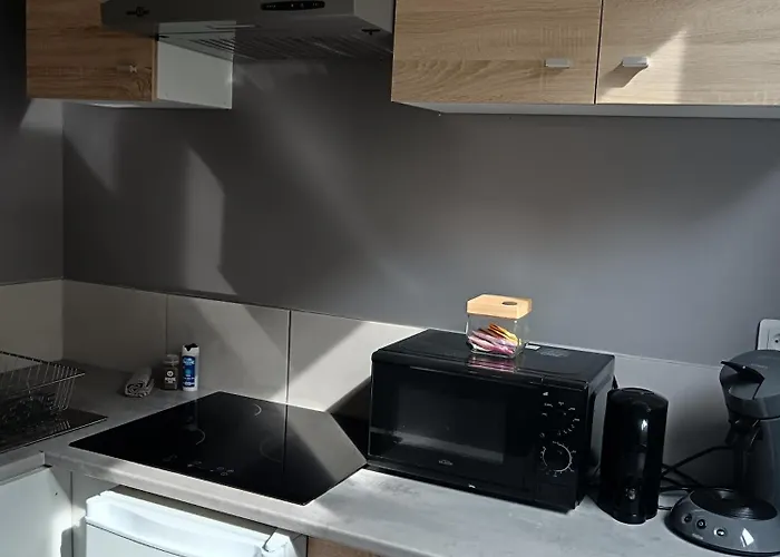 Au Cosy Branché Appartement *